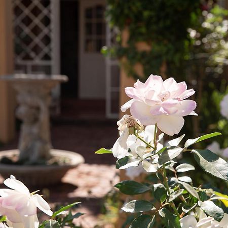 Roses&Pebbles B&B Guest House Klerksdorp Extérieur photo